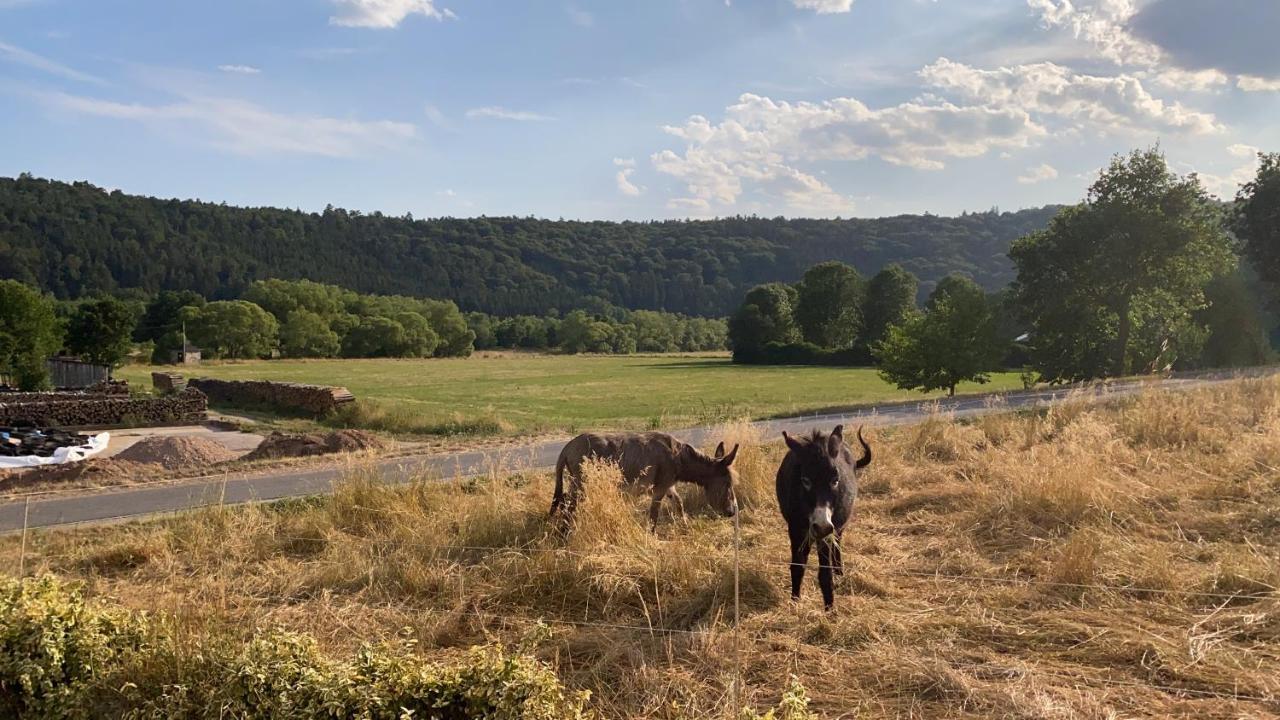 Flussnest Fulda Lägenhet Exteriör bild